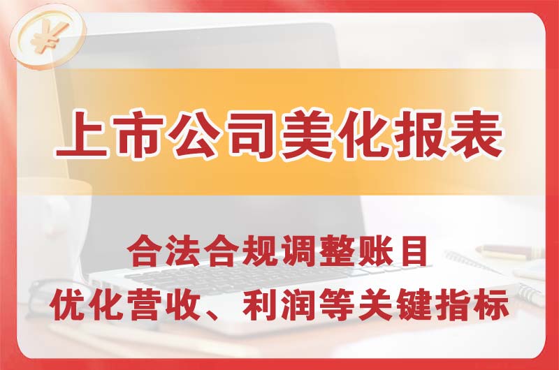 海南上市公司美化报表
